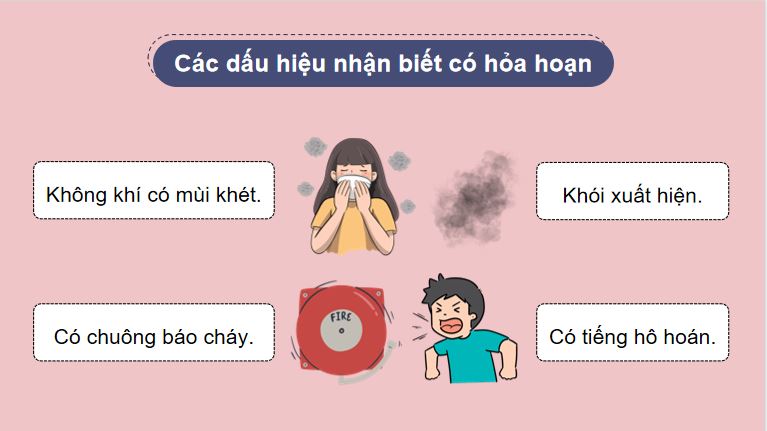 PowerPoint Hoạt động trải nghiệm 5 Tuần 24