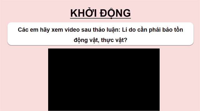PowerPoint Đọc: Thiên đường của các loài động vật hoang dã