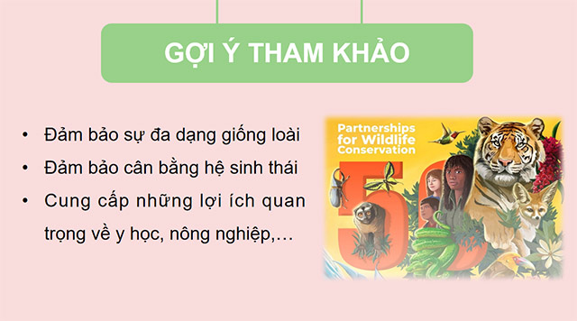 PowerPoint Đọc: Thiên đường của các loài động vật hoang dã