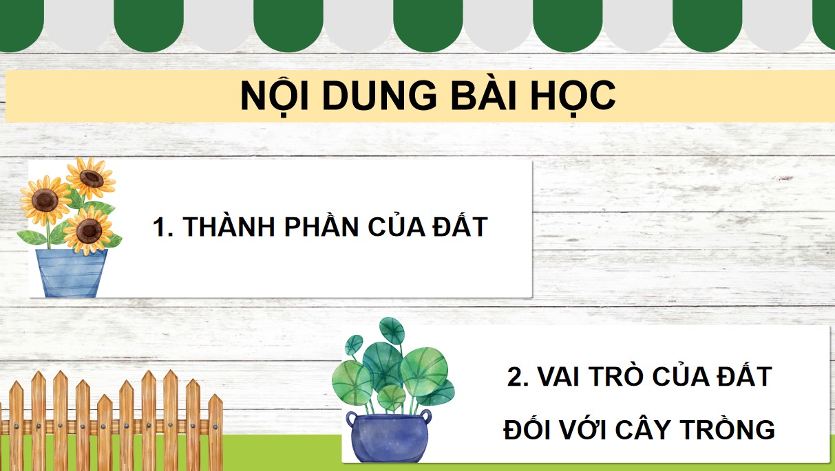 Giáo án PowerPoint Khoa học 5 KNTT Bài 1