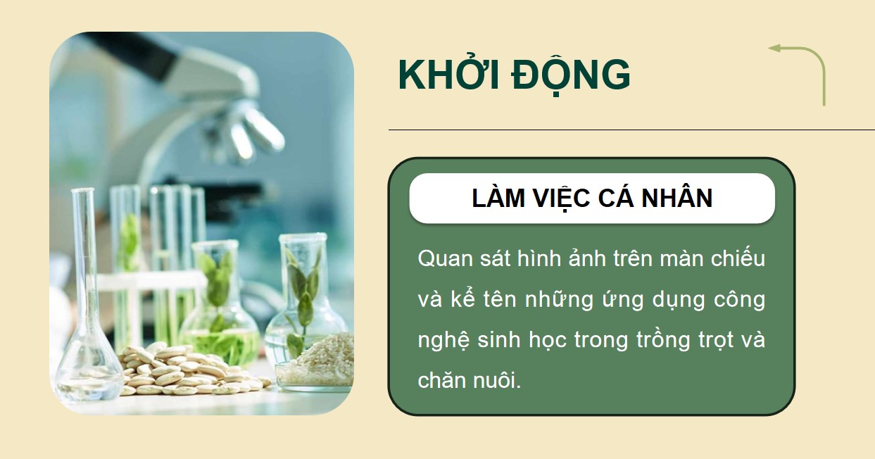 Powerpoint chuyên đề 1 Công nghệ 12 Kết nối tri thức 