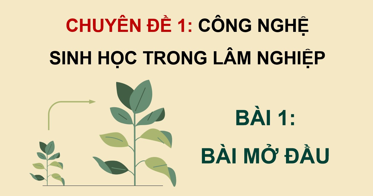 Powerpoint chuyên đề 1 Công nghệ 12 Kết nối tri thức 