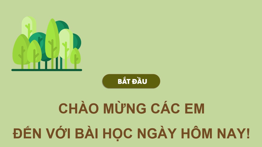Giáo án điện tử Công nghệ 12 Lâm nghiệp Thủy sản KNTT