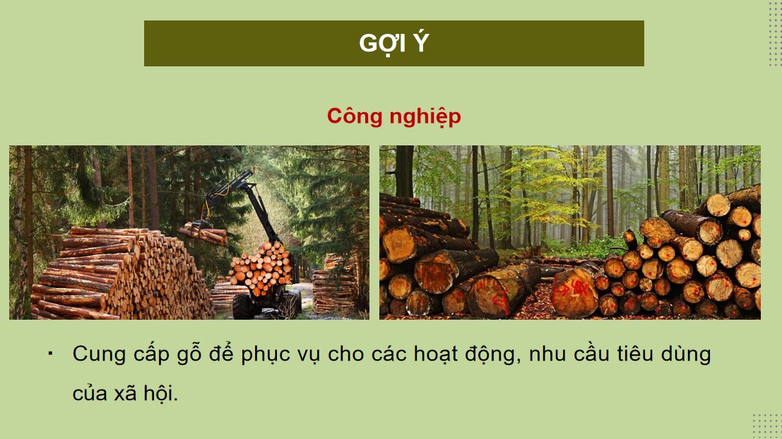 Giáo án điện tử Công nghệ 12 Lâm nghiệp Thủy sản KNTT
