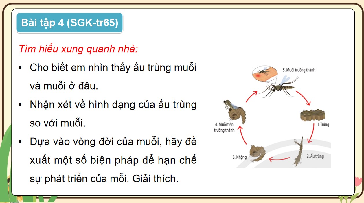 Giáo án điện tử Khoa học 5 KNTT Bài 17