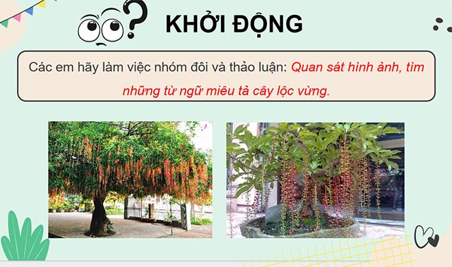 PowerPoint Đọc: Lộc vừng mùa xuân
