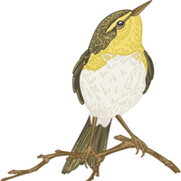 PowerPoint Tiếng Việt 4 Bài 13: Kể chuyện Chuyện của loài chim