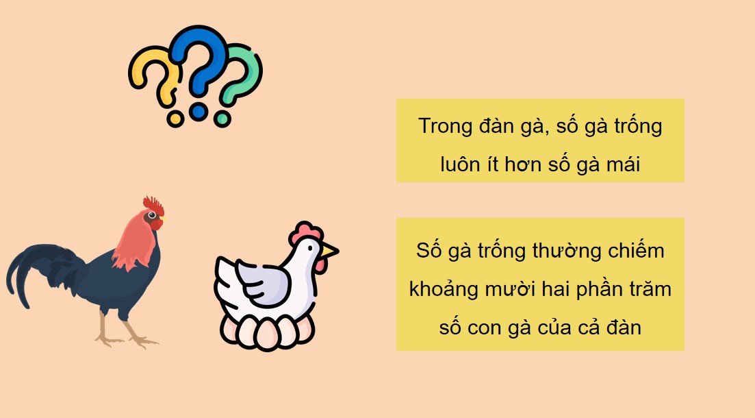 Giáo án điện tử Toán 5 CTST Bài 56