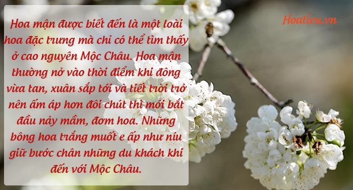 Viết 2 – 3 câu về một lễ hội có liên kết câu bằng cách lặp từ ngữ 