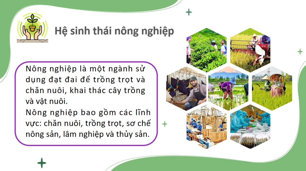 Giáo án PowerPoint chuyên đề 3 Sinh học 12 CTST