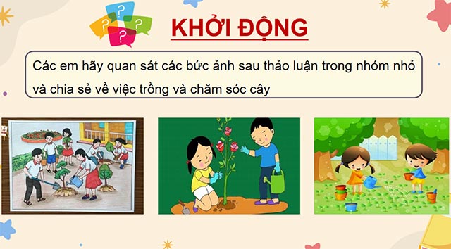 PowerPoint Đọc: Dưới những tán xanh