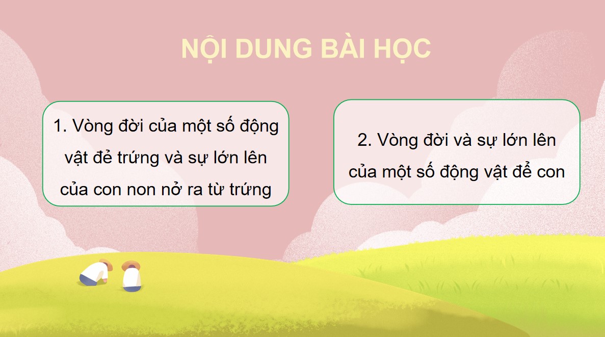 Giáo án PowerPoint Khoa học 5 CTST học kì 1