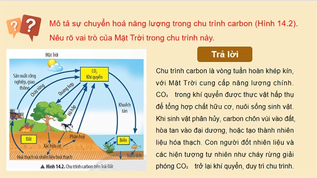 PowerPoint KHTN 9 Bài 14
