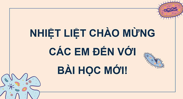 PowerPoint Ôn tập chủ đề Vi khuẩn