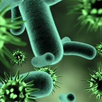 PowerPoint Khoa học 5 Bài 21: Ôn tập chủ đề Vi khuẩn