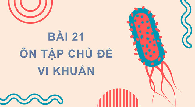 PowerPoint Ôn tập chủ đề Vi khuẩn