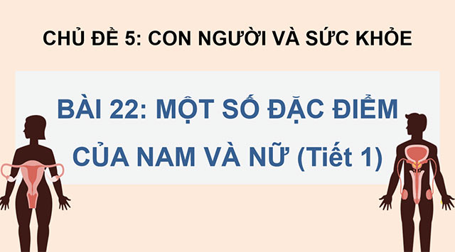 PowerPoint Một số đặc điểm của nam và nữ