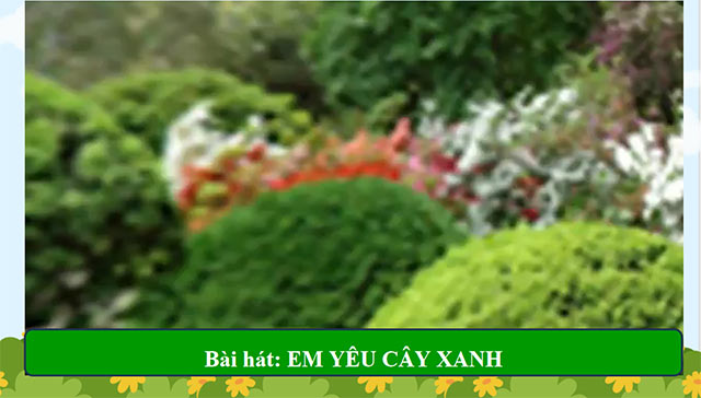 PowerPoint Hoạt động trải nghiệm 5 Tuần 24