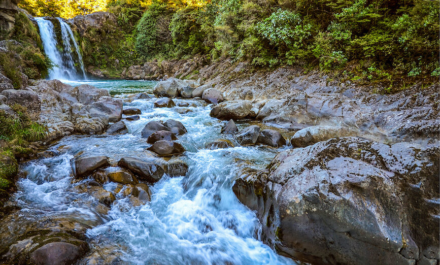 Nghị luận về vấn đề giữ nguồn nước sạch cho hôm nay và mai sau