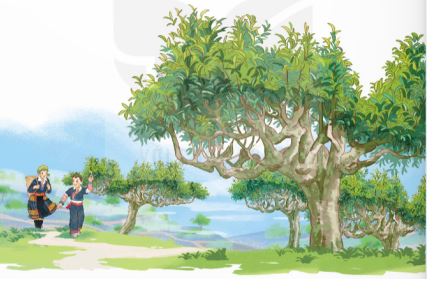 Giáo án Tiếng Việt 5