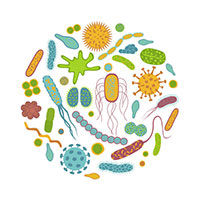  Giáo án Powerpoint Sinh học 10 Chân trời sáng tạo cả năm