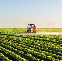 Giáo án Powerpoint Công nghệ 10 Kết nối tri thức cả năm