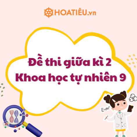 Đề thi giữa kì 2 lớp 9 môn Khoa học tự nhiên sách Cánh diều theo CV 7991