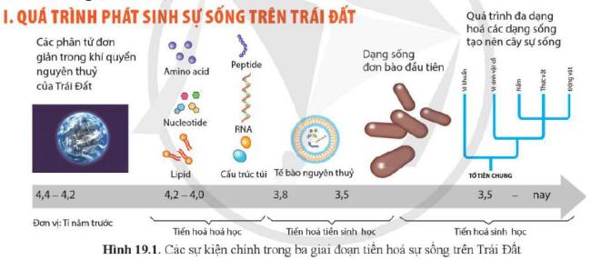 Đề kiểm tra giữa học kì 2 Sinh 12 trắc nghiệm