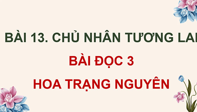 PowerPoint Hoa trạng nguyên