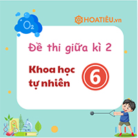Đề kiểm tra giữa kì 2 lớp 6 môn Khoa học tự nhiên sách Cánh diều CV 7991