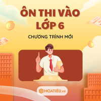 Chuyên đề Tiếng Việt ôn thi vào 6: Từ đồng nghĩa và Từ đa nghĩa (Có đáp án)