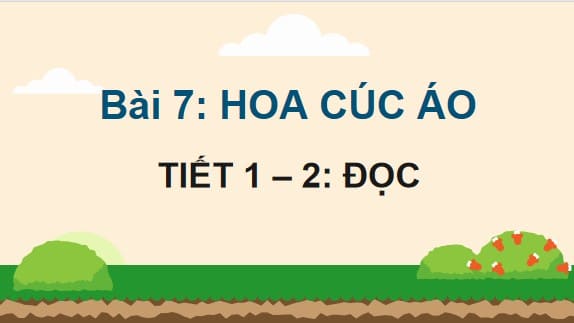 PowerPoint Tiếng Việt 4 Bài 5: Hoa cúc áo