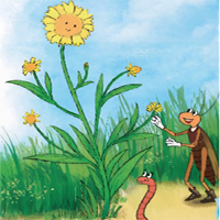 PowerPoint Tiếng Việt 4 Bài 5: Hoa cúc áo