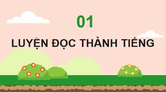 PowerPoint Tiếng Việt 4 Bài 5: Hoa cúc áo