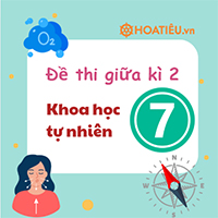 Đề thi giữa kì 2 Khoa học tự nhiên 7 sách Kết nối tri thức theo Công văn 7991