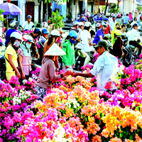 PowerPoint Tiếng Việt 4 Bài 7: Chợ Tết