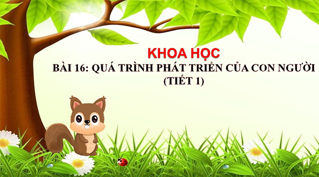 PowerPoint Quá trình phát triển của con người