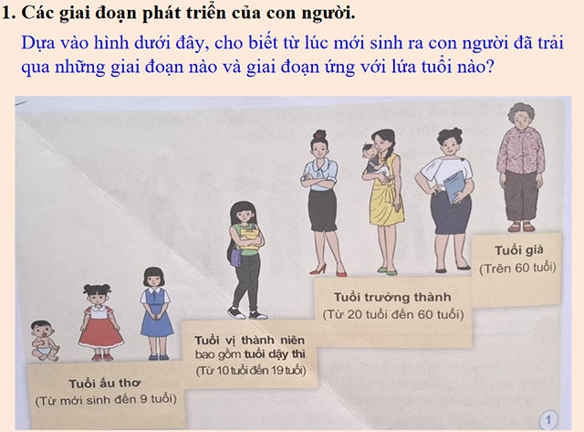 PowerPoint Quá trình phát triển của con người