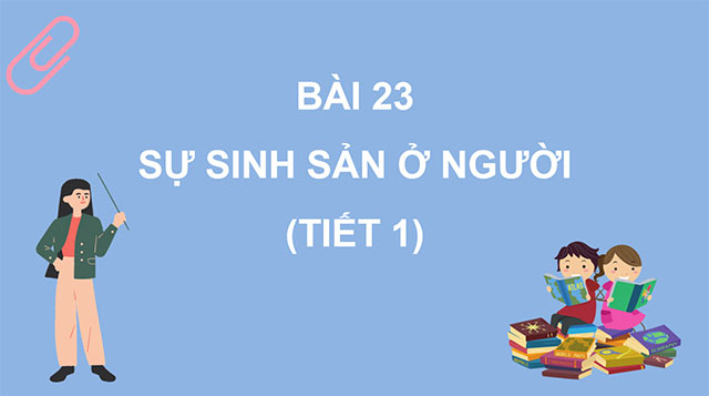 PowerPoint Sự sinh sản ở người