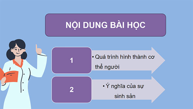 PowerPoint Sự sinh sản ở người