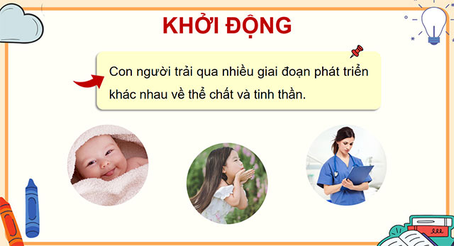PowerPoint Các giai đoạn phát triển của con người