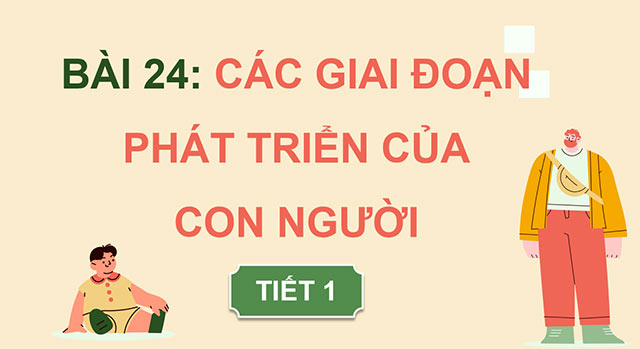 PowerPoint Các giai đoạn phát triển của con người