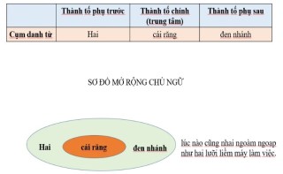 Đề cương ôn tập giữa kì 2 Văn 6 Cánh Diều