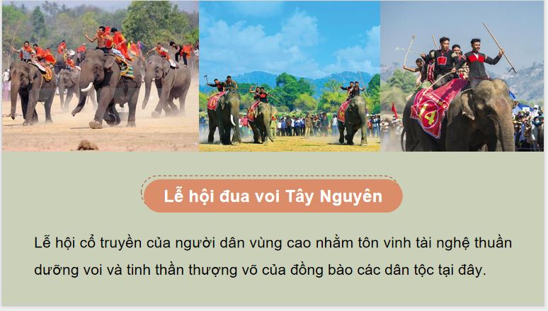 PowerPoint Hoạt động trải nghiệm 5 Tuần 25