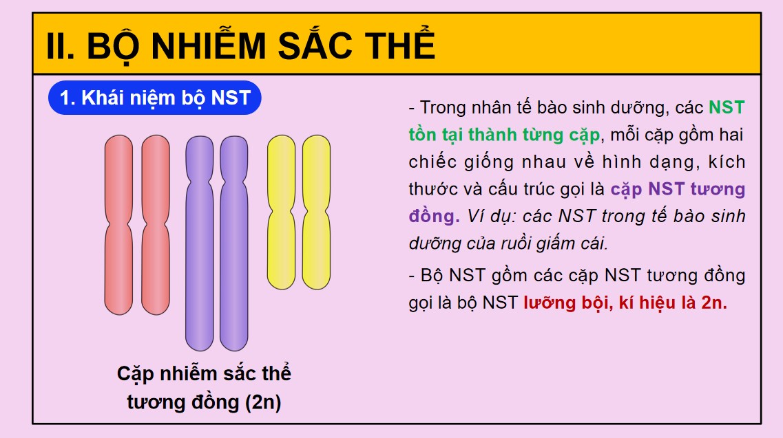 Giáo án PPt Sinh học 9 Kết nối tri thức Bài 42