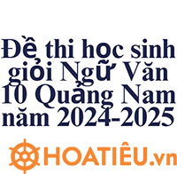 Đề thi học sinh giỏi Ngữ Văn 10 cấp tỉnh năm 2025