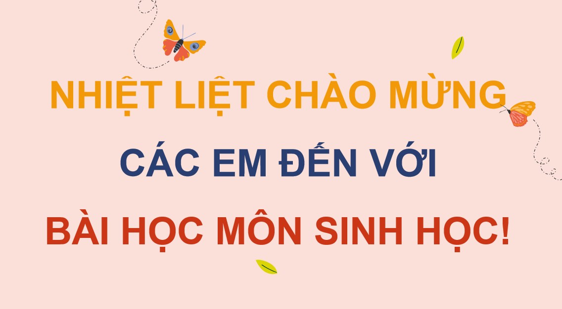 Giáo án điện tử Sinh 12 Kết nối tri thức kì 2