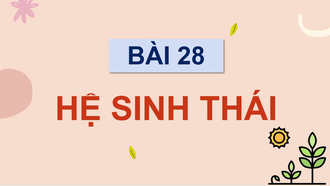 Giáo án điện tử Sinh 12 Kết nối tri thức kì 2