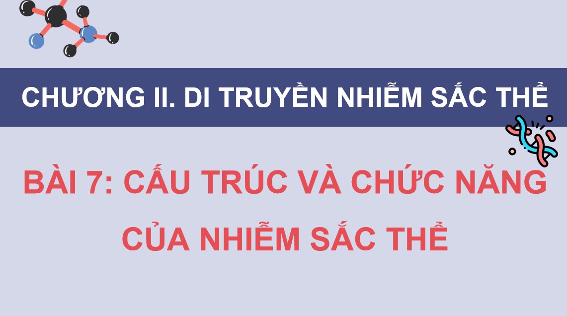 Giáo án điện tử Sinh 12 Kết nối tri thức kì 1