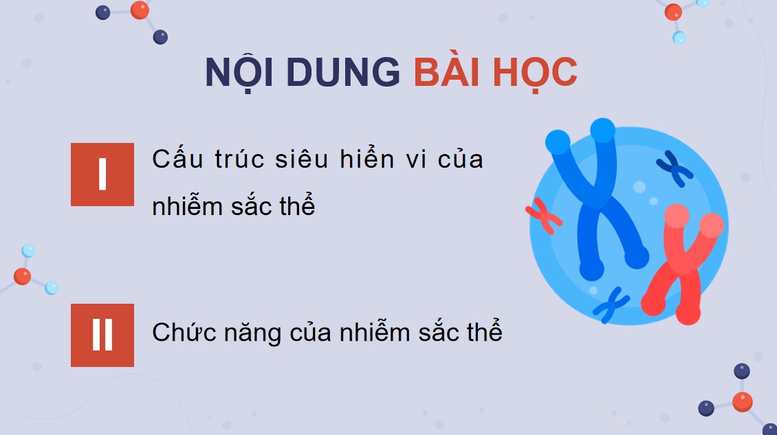 Giáo án điện tử Sinh 12 Kết nối tri thức kì 1